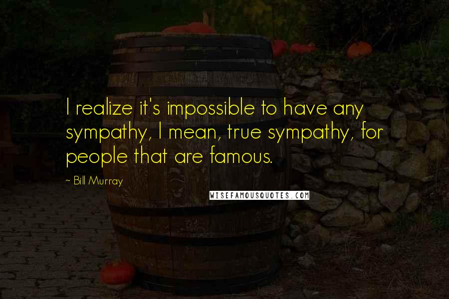 Bill Murray Quotes: I realize it's impossible to have any sympathy, I mean, true sympathy, for people that are famous.