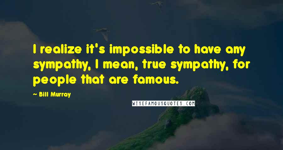 Bill Murray Quotes: I realize it's impossible to have any sympathy, I mean, true sympathy, for people that are famous.