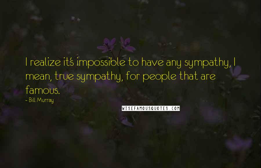 Bill Murray Quotes: I realize it's impossible to have any sympathy, I mean, true sympathy, for people that are famous.