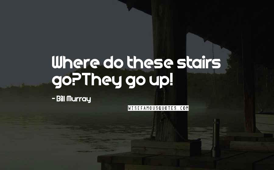 Bill Murray Quotes: Where do these stairs go?They go up!
