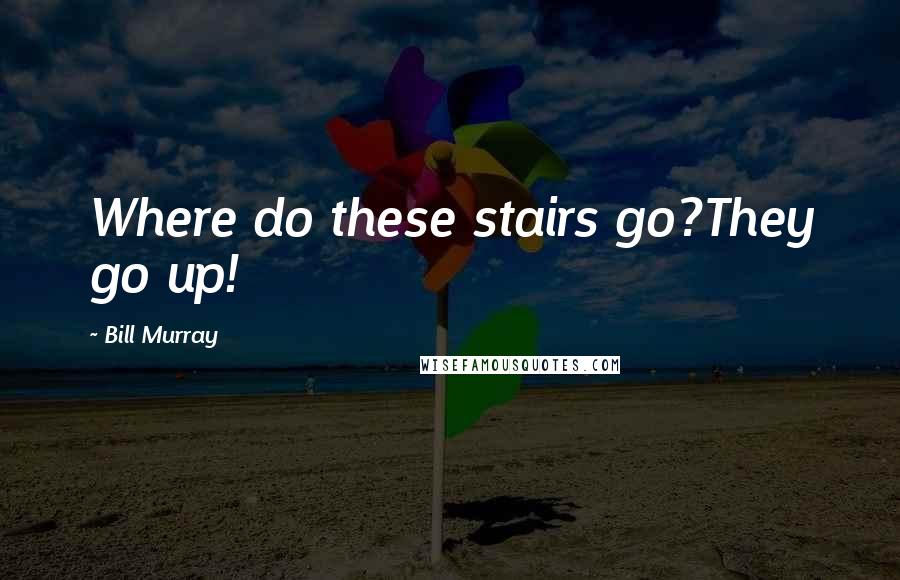 Bill Murray Quotes: Where do these stairs go?They go up!