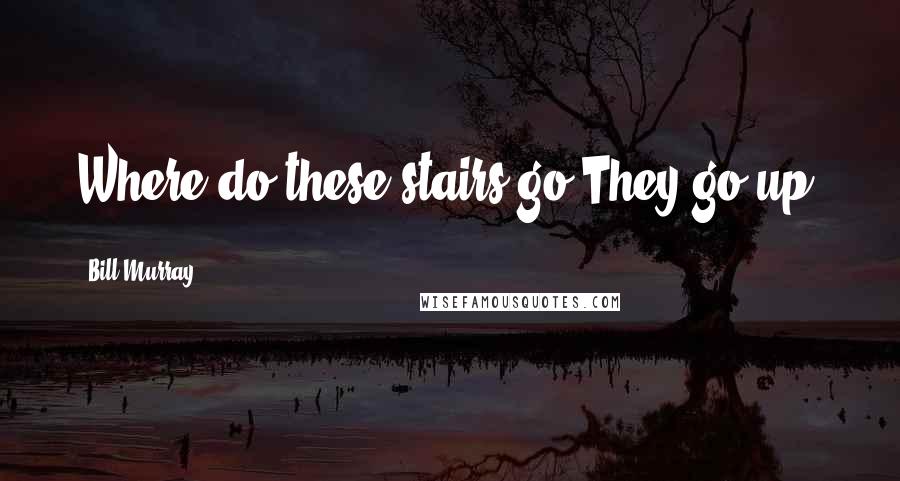 Bill Murray Quotes: Where do these stairs go?They go up!