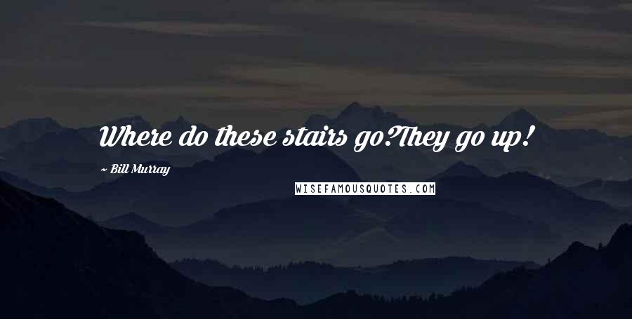 Bill Murray Quotes: Where do these stairs go?They go up!