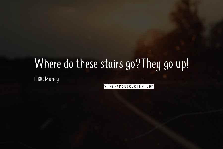 Bill Murray Quotes: Where do these stairs go?They go up!
