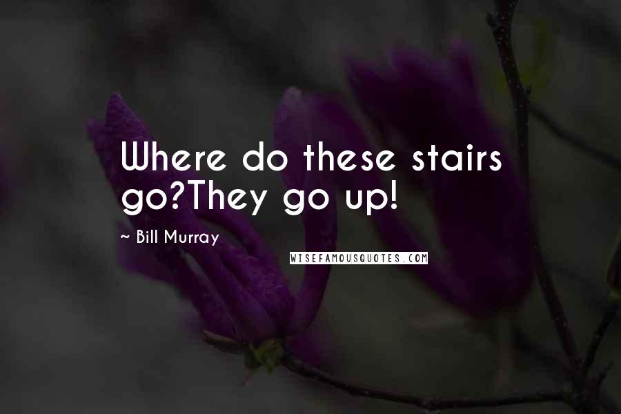 Bill Murray Quotes: Where do these stairs go?They go up!