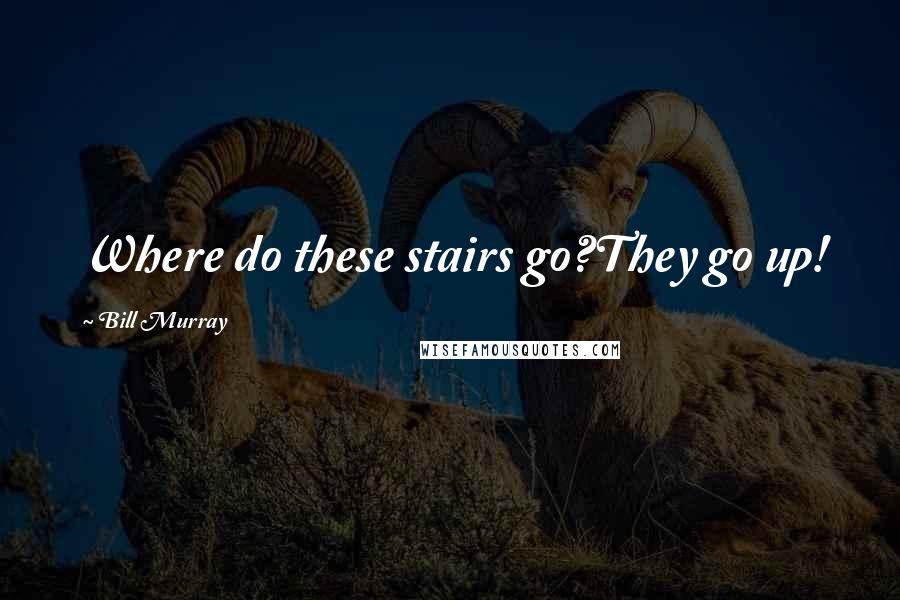 Bill Murray Quotes: Where do these stairs go?They go up!