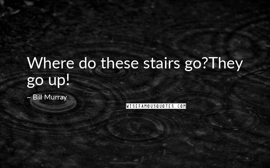 Bill Murray Quotes: Where do these stairs go?They go up!