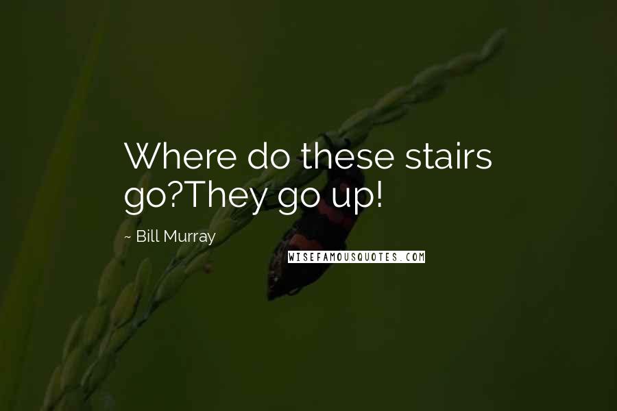 Bill Murray Quotes: Where do these stairs go?They go up!