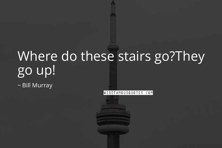 Bill Murray Quotes: Where do these stairs go?They go up!