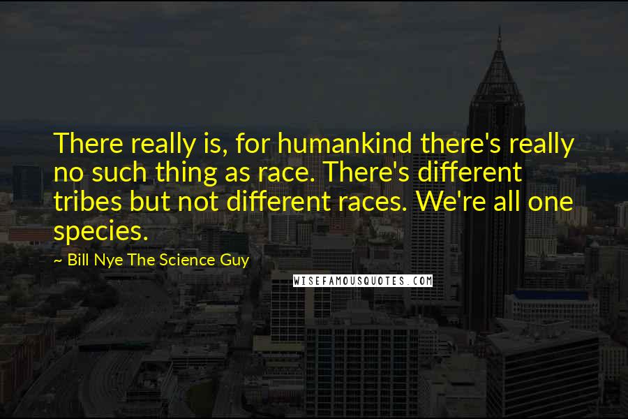Bill Nye The Science Guy Quotes: There really is, for humankind there's really no such thing as race. There's different tribes but not different races. We're all one species.