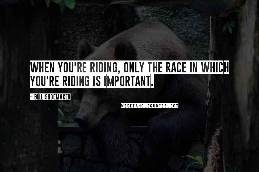 Bill Shoemaker Quotes: When you're riding, only the race in which you're riding is important.