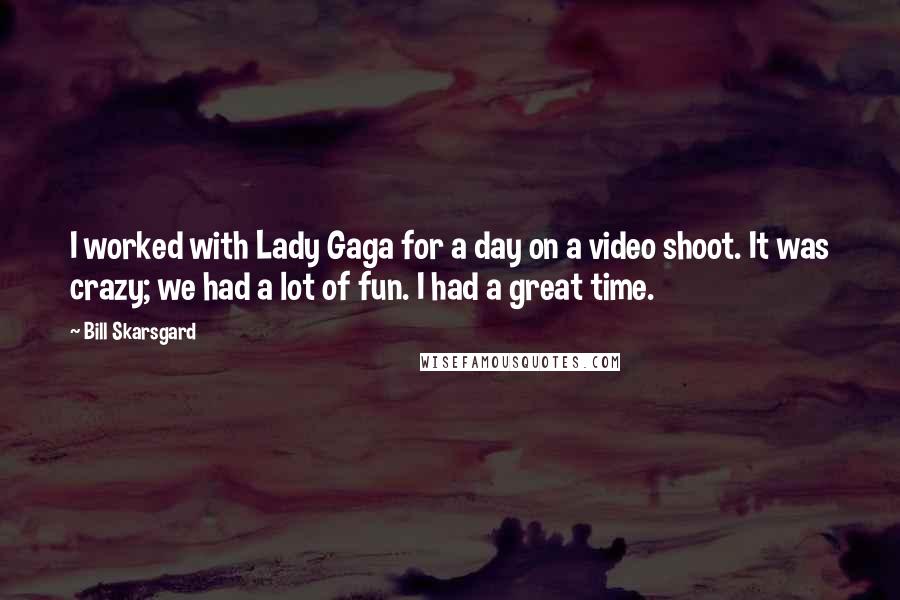 Bill Skarsgard Quotes: I worked with Lady Gaga for a day on a video shoot. It was crazy; we had a lot of fun. I had a great time.