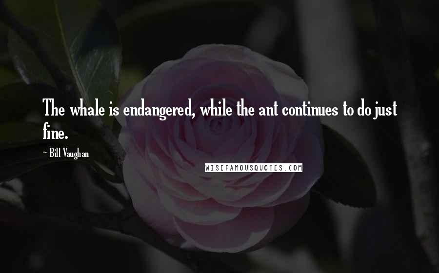 Bill Vaughan Quotes: The whale is endangered, while the ant continues to do just fine.