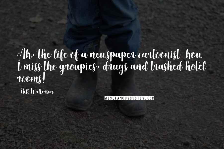 Bill Watterson Quotes: Ah, the life of a newspaper cartoonist how I miss the groupies, drugs and trashed hotel rooms!