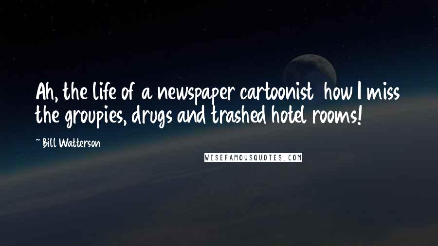 Bill Watterson Quotes: Ah, the life of a newspaper cartoonist  how I miss the groupies, drugs and trashed hotel rooms!