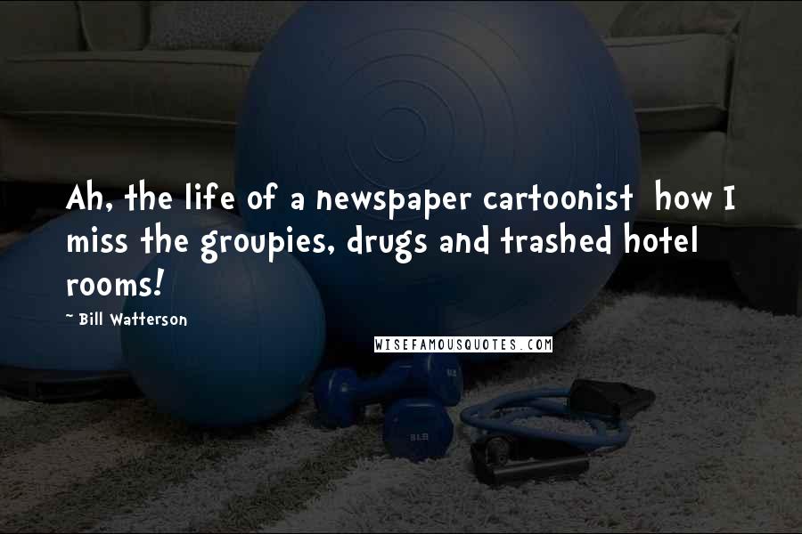 Bill Watterson Quotes: Ah, the life of a newspaper cartoonist how I miss the groupies, drugs and trashed hotel rooms!