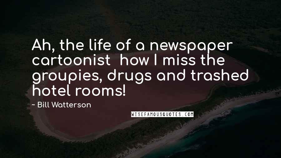 Bill Watterson Quotes: Ah, the life of a newspaper cartoonist how I miss the groupies, drugs and trashed hotel rooms!