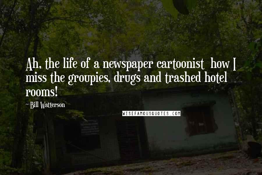 Bill Watterson Quotes: Ah, the life of a newspaper cartoonist  how I miss the groupies, drugs and trashed hotel rooms!