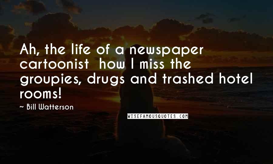 Bill Watterson Quotes: Ah, the life of a newspaper cartoonist how I miss the groupies, drugs and trashed hotel rooms!