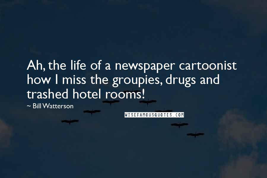 Bill Watterson Quotes: Ah, the life of a newspaper cartoonist  how I miss the groupies, drugs and trashed hotel rooms!