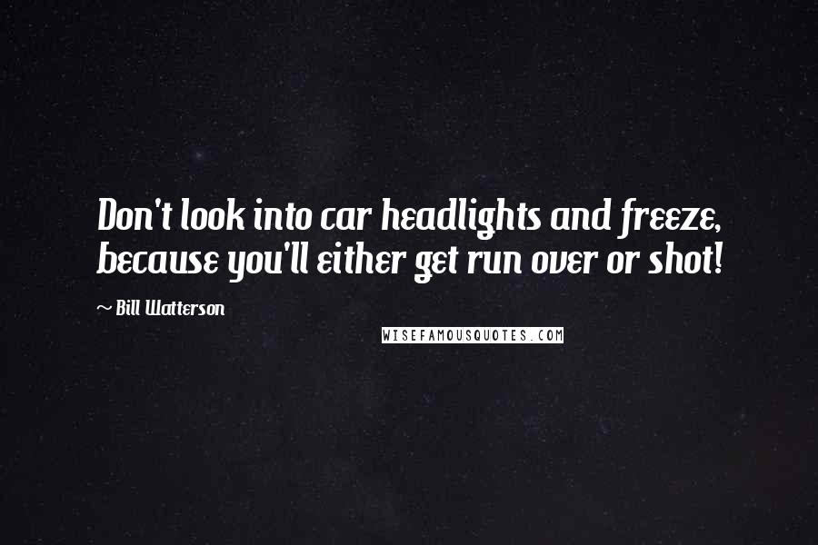 Bill Watterson Quotes: Don't look into car headlights and freeze, because you'll either get run over or shot!