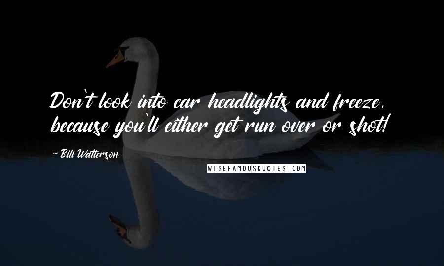 Bill Watterson Quotes: Don't look into car headlights and freeze, because you'll either get run over or shot!