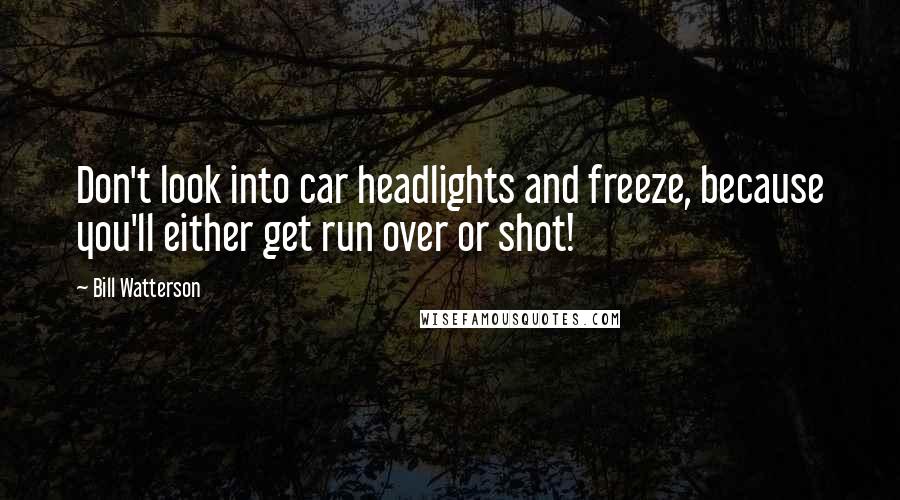 Bill Watterson Quotes: Don't look into car headlights and freeze, because you'll either get run over or shot!