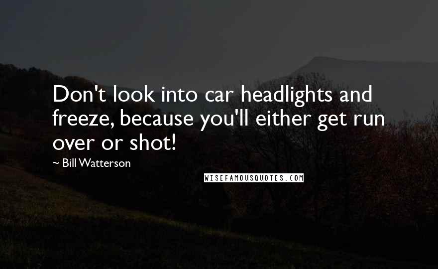 Bill Watterson Quotes: Don't look into car headlights and freeze, because you'll either get run over or shot!