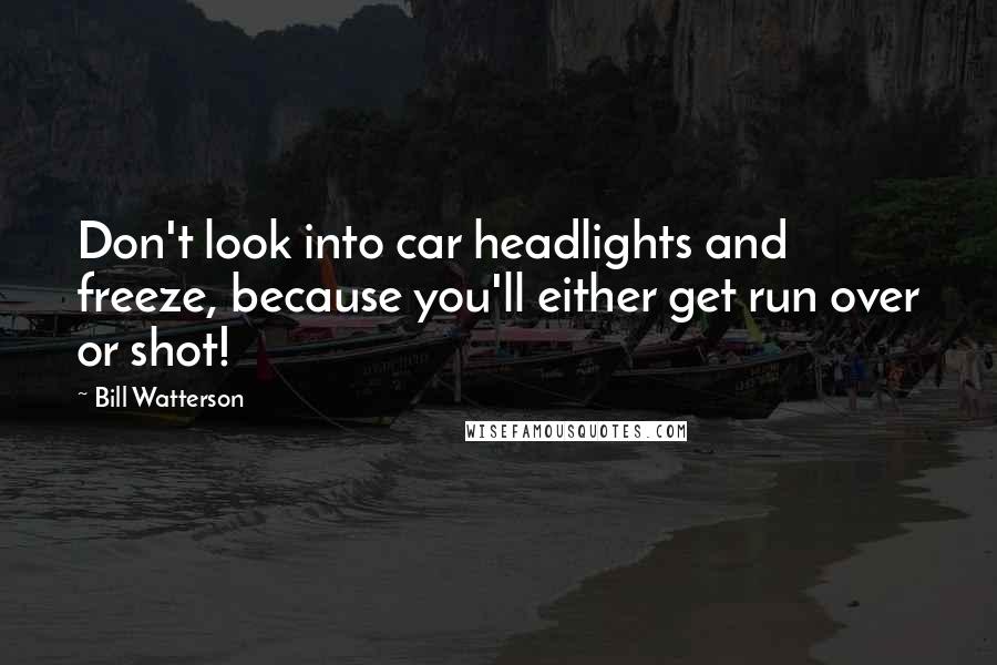 Bill Watterson Quotes: Don't look into car headlights and freeze, because you'll either get run over or shot!