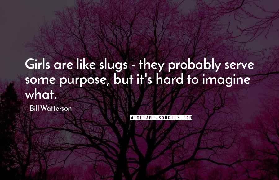 Bill Watterson Quotes: Girls are like slugs - they probably serve some purpose, but it's hard to imagine what.