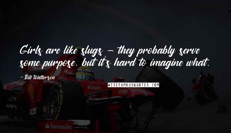 Bill Watterson Quotes: Girls are like slugs - they probably serve some purpose, but it's hard to imagine what.