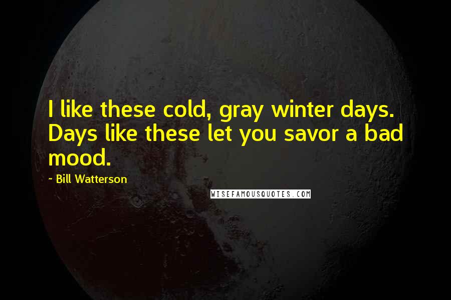 Bill Watterson Quotes: I like these cold, gray winter days. Days like these let you savor a bad mood.