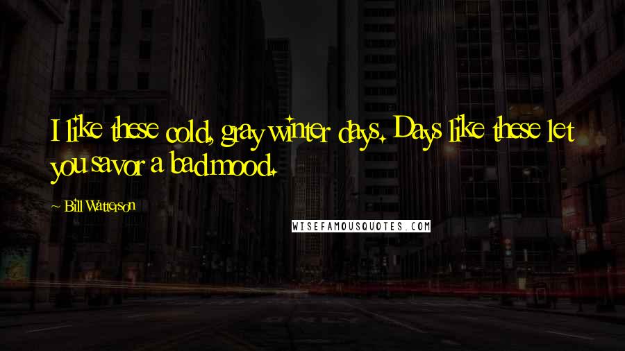 Bill Watterson Quotes: I like these cold, gray winter days. Days like these let you savor a bad mood.