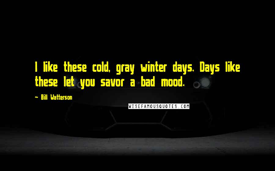 Bill Watterson Quotes: I like these cold, gray winter days. Days like these let you savor a bad mood.