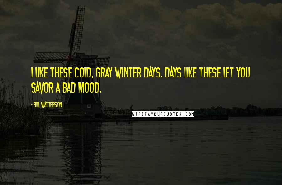 Bill Watterson Quotes: I like these cold, gray winter days. Days like these let you savor a bad mood.