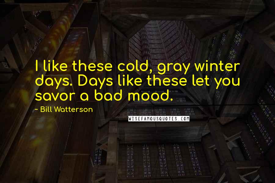 Bill Watterson Quotes: I like these cold, gray winter days. Days like these let you savor a bad mood.