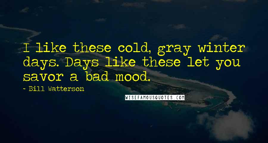 Bill Watterson Quotes: I like these cold, gray winter days. Days like these let you savor a bad mood.