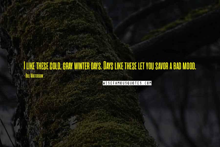 Bill Watterson Quotes: I like these cold, gray winter days. Days like these let you savor a bad mood.