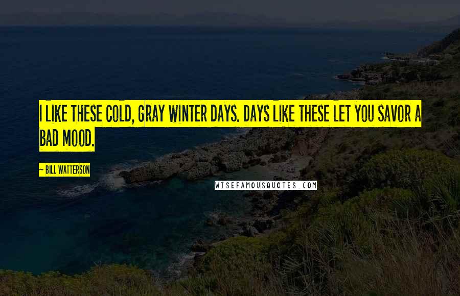 Bill Watterson Quotes: I like these cold, gray winter days. Days like these let you savor a bad mood.