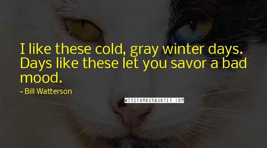 Bill Watterson Quotes: I like these cold, gray winter days. Days like these let you savor a bad mood.