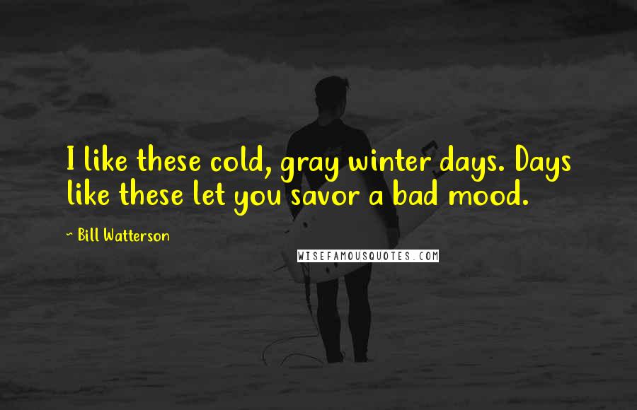 Bill Watterson Quotes: I like these cold, gray winter days. Days like these let you savor a bad mood.