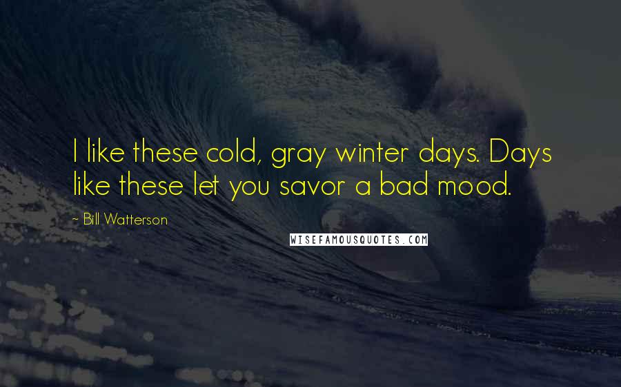 Bill Watterson Quotes: I like these cold, gray winter days. Days like these let you savor a bad mood.
