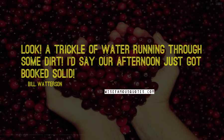 Bill Watterson Quotes: Look! A trickle of water running through some dirt! I'd say our afternoon just got booked solid!