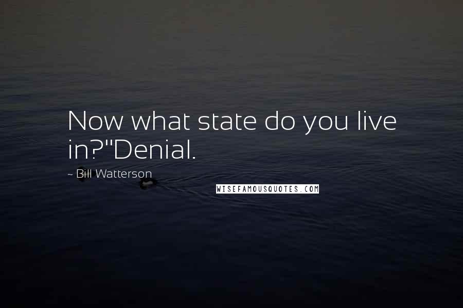 Bill Watterson Quotes: Now what state do you live in?''Denial.