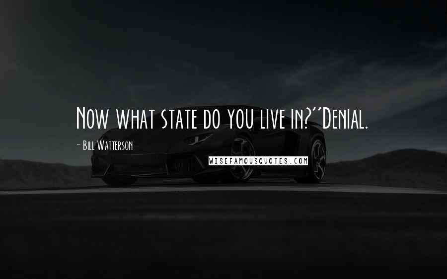 Bill Watterson Quotes: Now what state do you live in?''Denial.