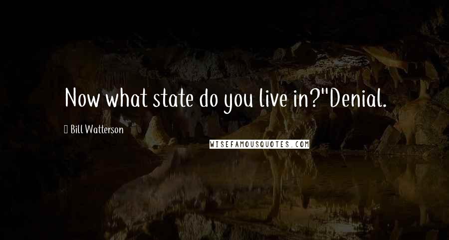 Bill Watterson Quotes: Now what state do you live in?''Denial.