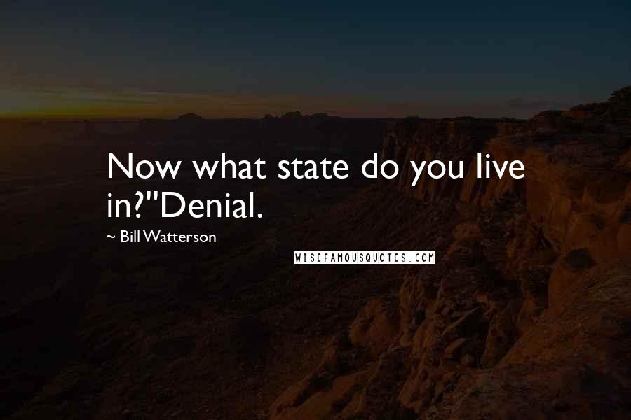 Bill Watterson Quotes: Now what state do you live in?''Denial.