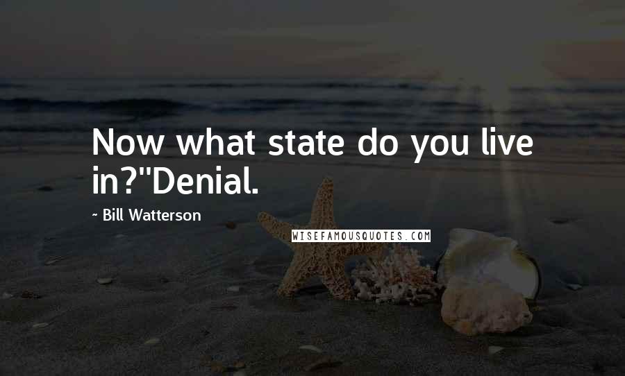 Bill Watterson Quotes: Now what state do you live in?''Denial.