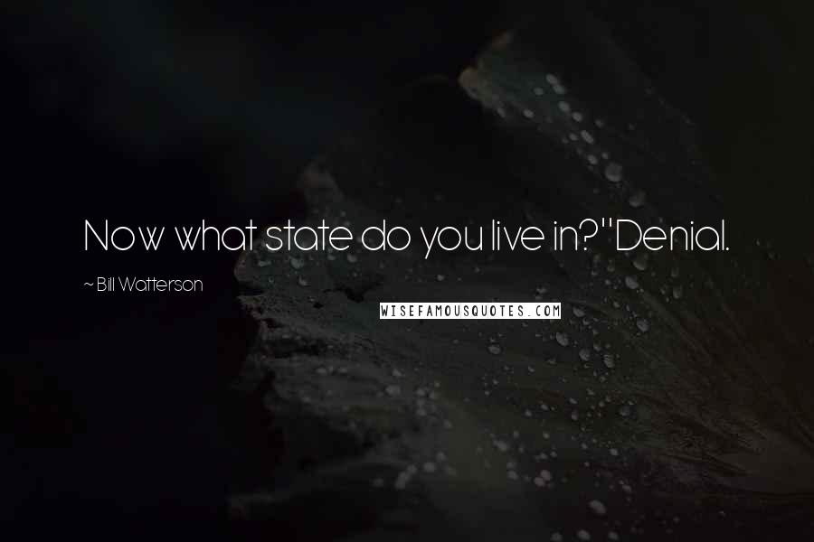 Bill Watterson Quotes: Now what state do you live in?''Denial.