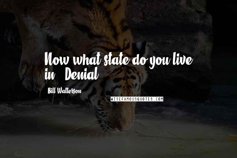 Bill Watterson Quotes: Now what state do you live in?''Denial.